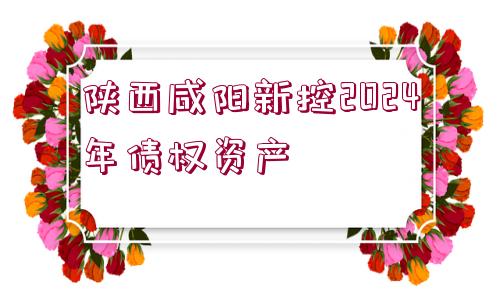 陜西咸陽新控2024年債權(quán)資產(chǎn)