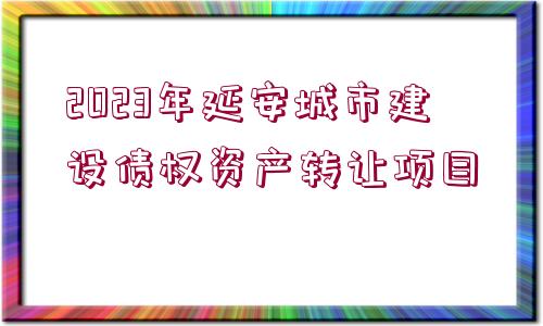 2023年延安城市建設(shè)債權(quán)資產(chǎn)轉(zhuǎn)讓項(xiàng)目