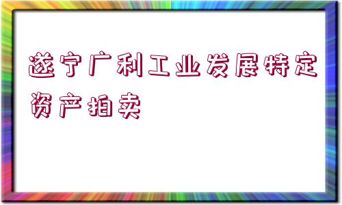 遂寧廣利工業(yè)發(fā)展特定資產(chǎn)拍賣