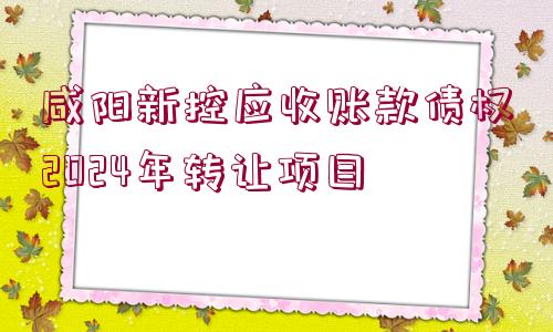 咸陽(yáng)新控應(yīng)收賬款債權(quán)2024年轉(zhuǎn)讓項(xiàng)目