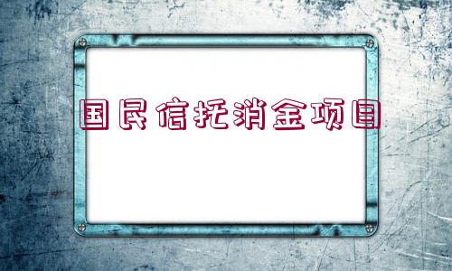 國民信托消金項目