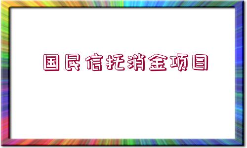 國民信托消金項目