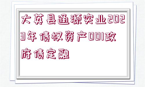 大英縣通源實業(yè)2023年債權(quán)資產(chǎn)001政府債定融