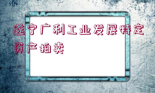 遂寧廣利工業(yè)發(fā)展特定資產拍賣