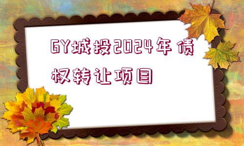 GY城投2024年債權轉讓項目