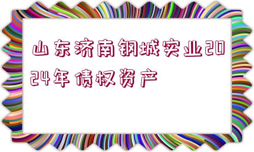 山東濟南鋼城實業(yè)2024年債權資產