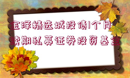 金澤精選城投債1個(gè)月續(xù)期私募證券投資基金