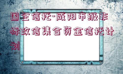 國企信托-咸陽市級非標(biāo)政信集合資金信托計劃