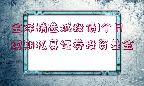 金澤精選城投債1個月續(xù)期私募證券投資基金