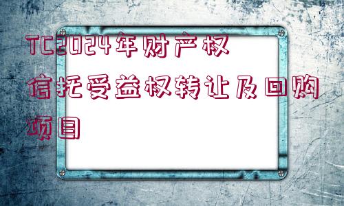 TC2024年財(cái)產(chǎn)權(quán)信托受益權(quán)轉(zhuǎn)讓及回購(gòu)項(xiàng)目