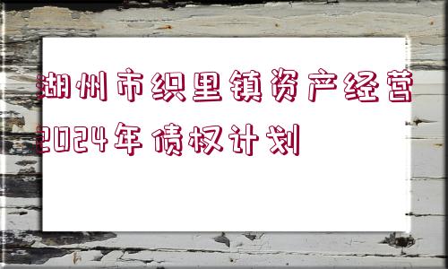 湖州市織里鎮(zhèn)資產經營2024年債權計劃