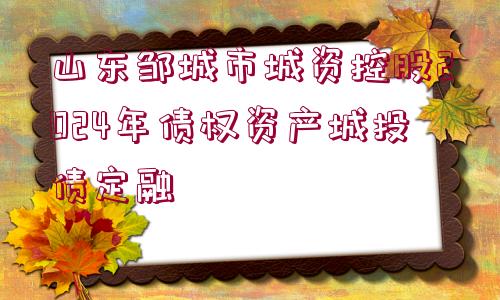 山東鄒城市城資控股2024年債權(quán)資產(chǎn)城投債定融