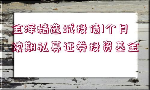 金澤精選城投債1個(gè)月續(xù)期私募證券投資基金