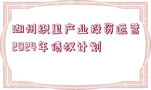 湖州織里產(chǎn)業(yè)投資運營2024年債權計劃