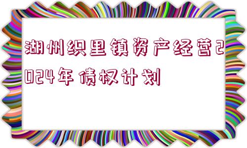 湖州織里鎮(zhèn)資產(chǎn)經(jīng)營2024年債權(quán)計劃