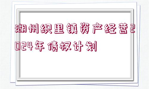 湖州織里鎮(zhèn)資產經營2024年債權計劃