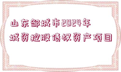 山東鄒城市2024年城資控股債權(quán)資產(chǎn)項(xiàng)目