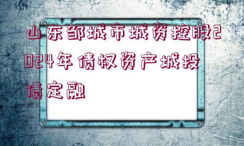 山東鄒城市城資控股2024年債權(quán)資產(chǎn)城投債定融