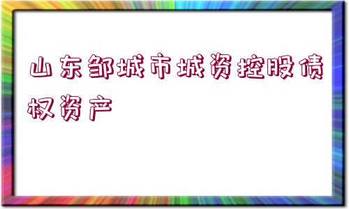 山東鄒城市城資控股債權(quán)資產(chǎn)