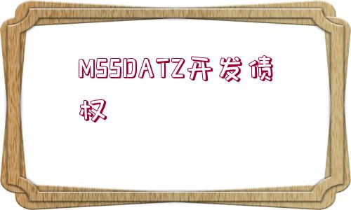 MSSDATZ開發(fā)債權