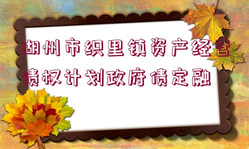 湖州市織里鎮(zhèn)資產(chǎn)經(jīng)營債權(quán)計劃政府債定融