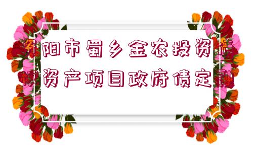 資陽市蜀鄉(xiāng)金農(nóng)投資債權(quán)資產(chǎn)項目政府債定融