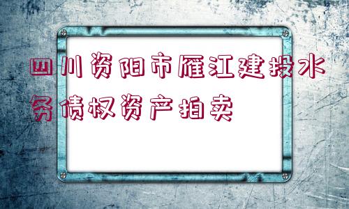 四川資陽(yáng)市雁江建投水務(wù)債權(quán)資產(chǎn)拍賣