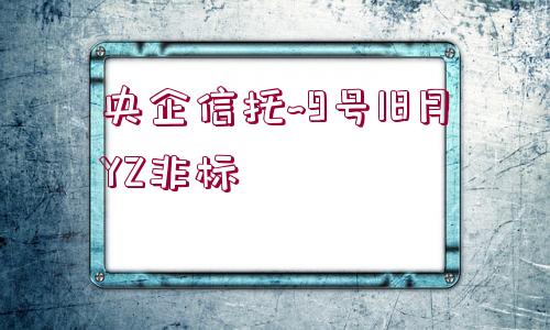 央企信托~9號18月YZ非標(biāo)