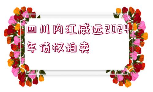 四川內江威遠2024年債權拍賣