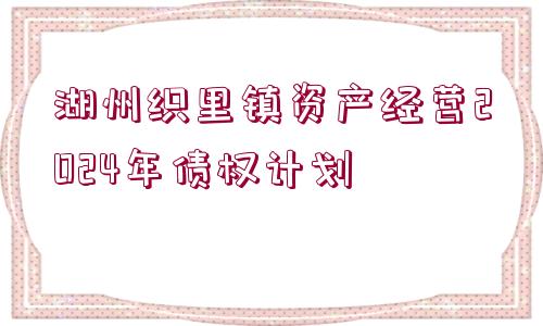 湖州織里鎮(zhèn)資產(chǎn)經(jīng)營(yíng)2024年債權(quán)計(jì)劃