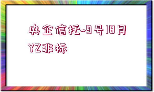 央企信托~9號(hào)18月YZ非標(biāo)