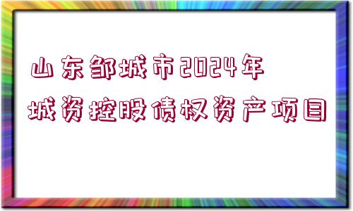 山東鄒城市2024年城資控股債權資產(chǎn)項目