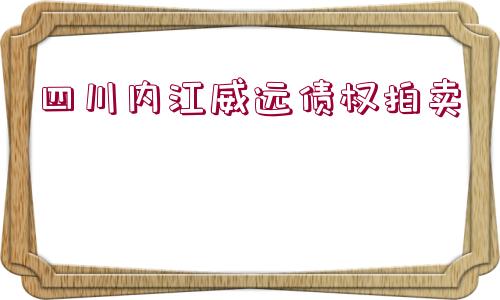 四川內(nèi)江威遠(yuǎn)債權(quán)拍賣 