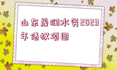 山東晟潤水務(wù)2023年債權(quán)項(xiàng)目