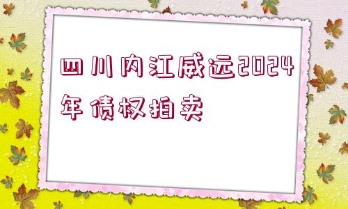 四川內(nèi)江威遠(yuǎn)2024年債權(quán)拍賣(mài)