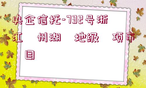 央企信托-732號浙江?州湖?地級?項市?目