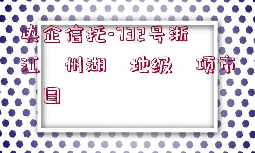 央企信托-732號浙江?州湖?地級?項市?目