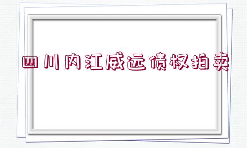 四川內江威遠債權拍賣