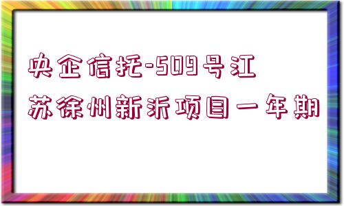 央企信托-509號江蘇徐州新沂項目一年期