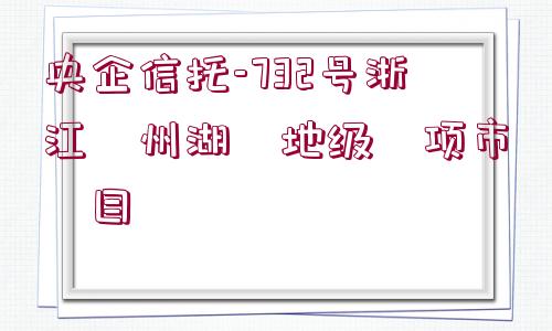 央企信托-732號浙江?州湖?地級?項(xiàng)市?目