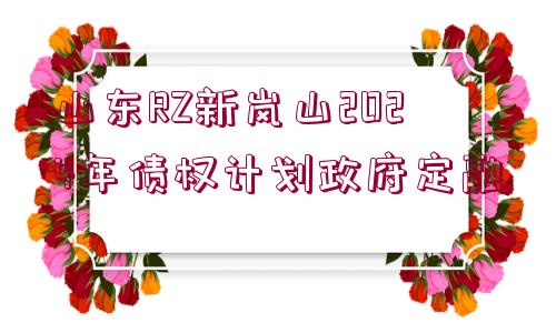 山東RZ新嵐山2024年債權(quán)計(jì)劃政府定融