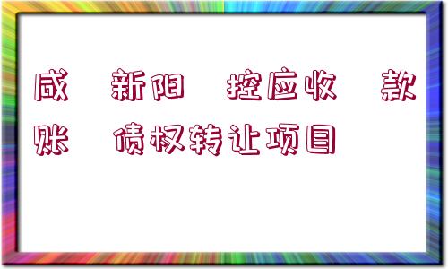 咸?新陽(yáng)?控應(yīng)收?款賬?債權(quán)轉(zhuǎn)讓項(xiàng)目