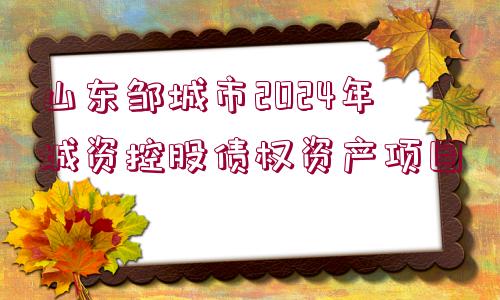 山東鄒城市2024年城資控股債權資產項目