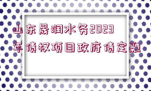 山東晟潤水務(wù)2023年債權(quán)項目政府債定融