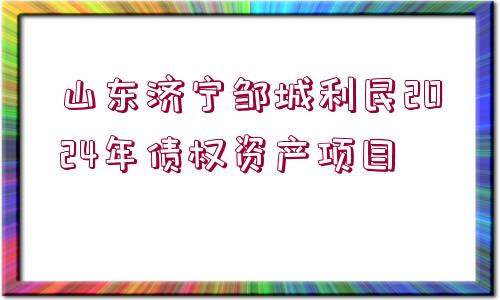 山東濟(jì)寧鄒城利民2024年債權(quán)資產(chǎn)項(xiàng)目