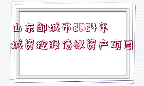 山東鄒城市2024年城資控股債權資產(chǎn)項目