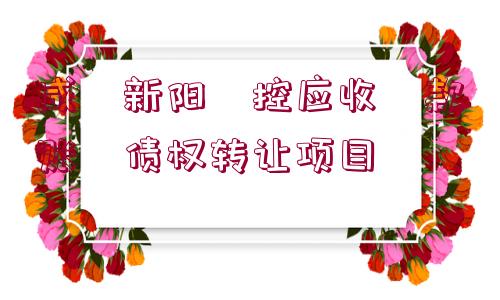 咸?新陽?控應(yīng)收?款賬?債權(quán)轉(zhuǎn)讓項(xiàng)目