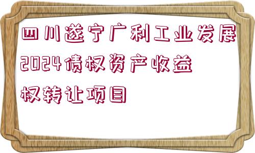 四川遂寧廣利工業(yè)發(fā)展2024債權(quán)資產(chǎn)收益權(quán)轉(zhuǎn)讓項(xiàng)目