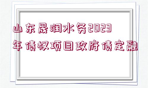 山東晟潤水務(wù)2023年債權(quán)項目政府債定融