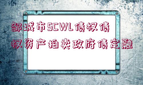 鄒城市SCWL債權(quán)債權(quán)資產(chǎn)拍賣政府債定融